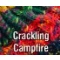 Crackling Campfire