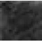 Black Speck