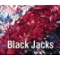 Black Jacks