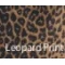 Leopard Print