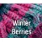 Winter Berries