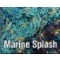 Marine Splash